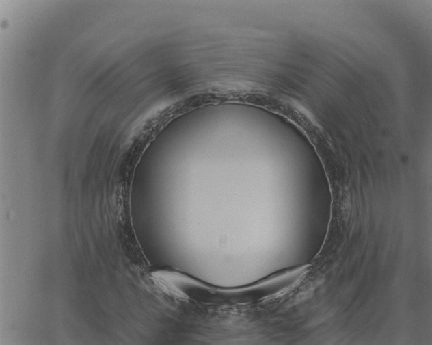 X0000062871016200601201749