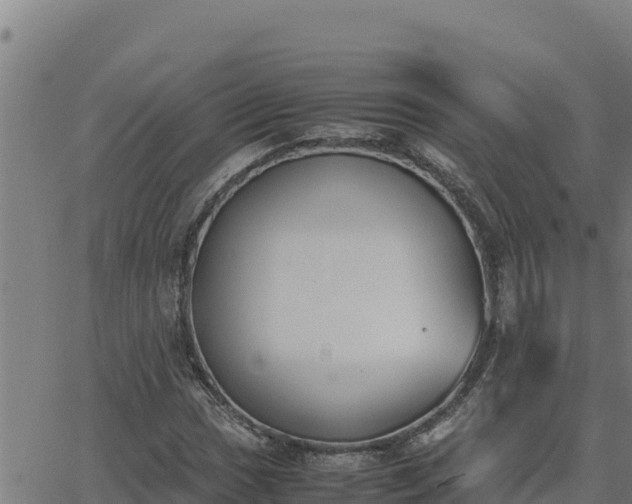 X0000062871017200601201749