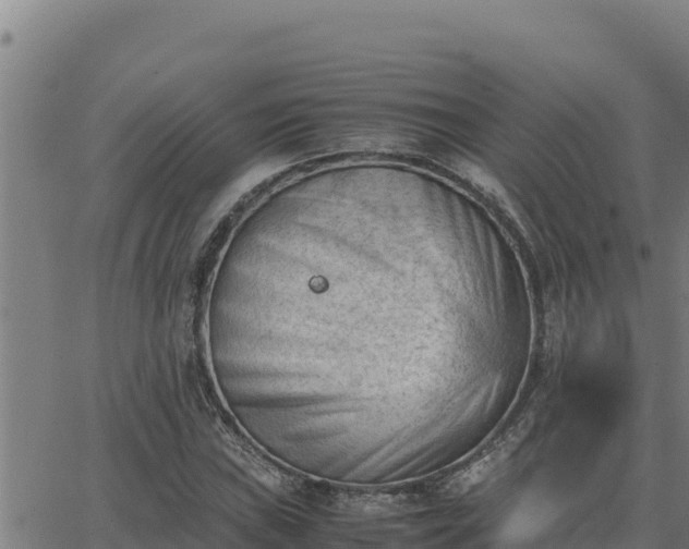 X0000062871019200601201749