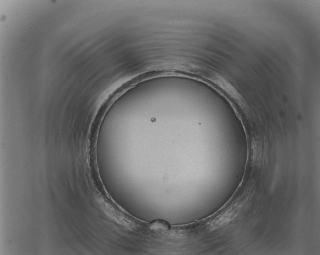 X0000062871020200601201749