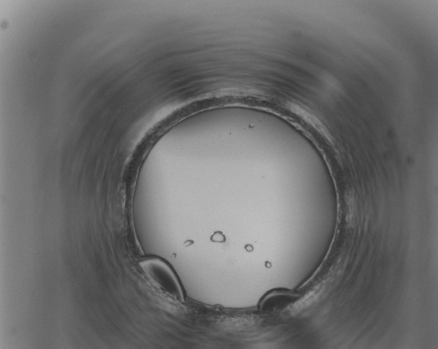 X0000062871021200601201749