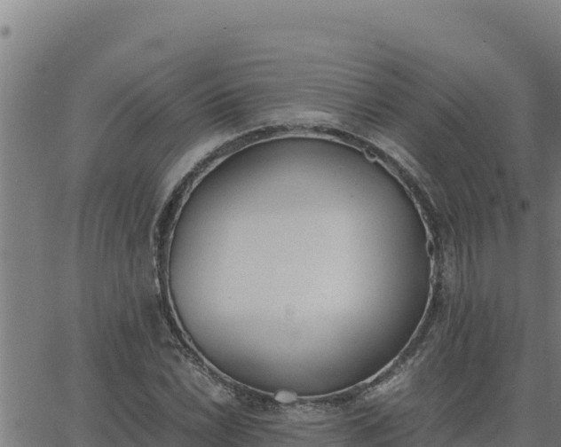 X0000062871022200601201749