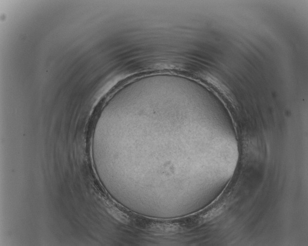 X0000062871023200601201749