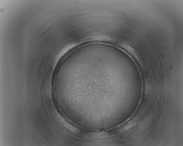 X0000062871024200601201749