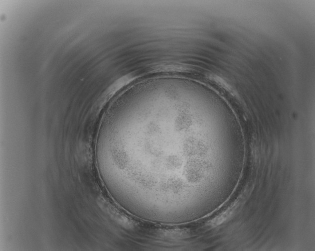 X0000062871025200601201749