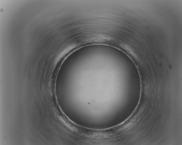 X0000062871026200601201749