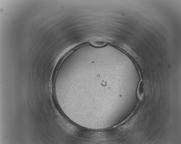 X0000062871028200601201749