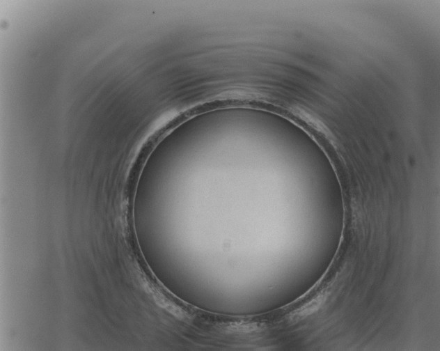 X0000062871029200601201749