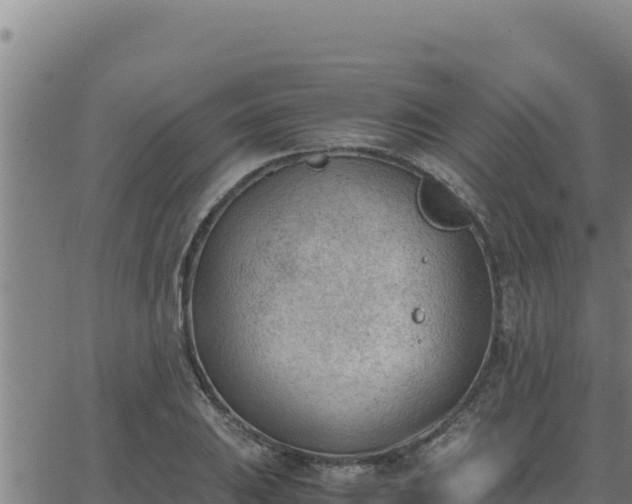 X0000062871031200601201749