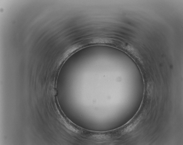 X0000062871033200601201749