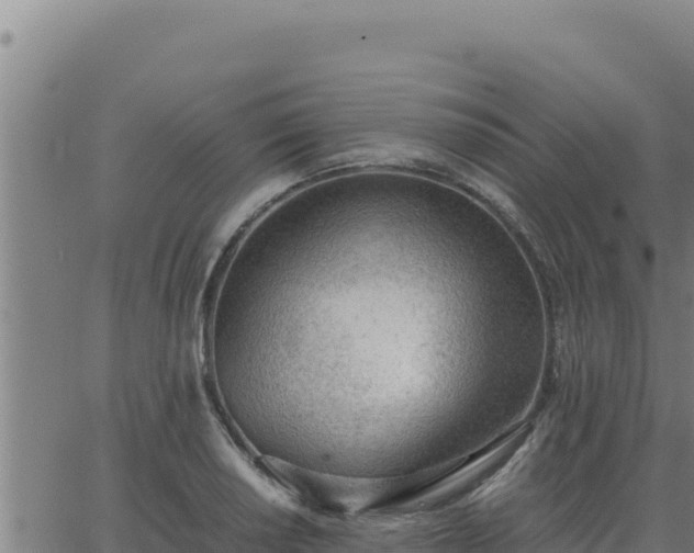 X0000062871034200601201749