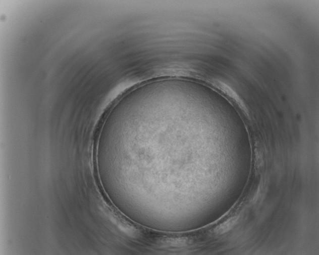 X0000062871035200601201749