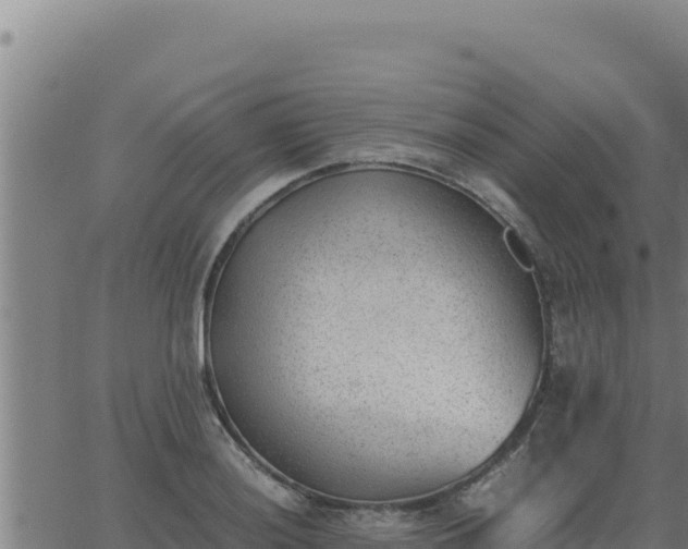 X0000062871036200601201749