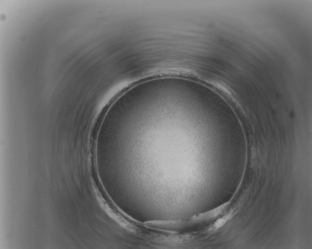 X0000062871038200601201749