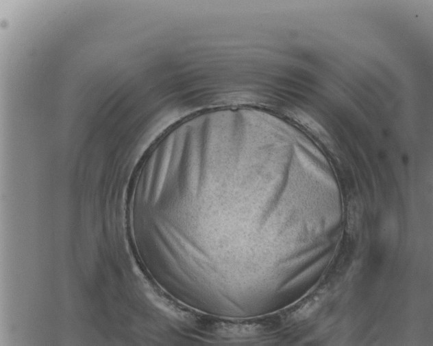 X0000062871039200601201749