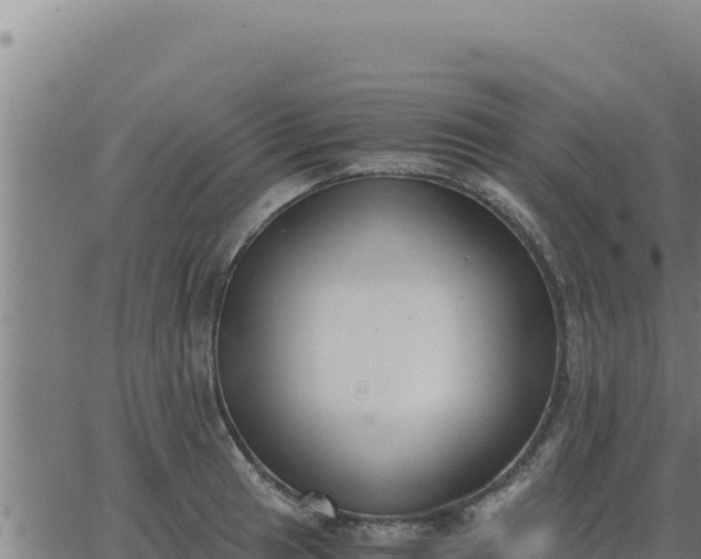 X0000062871041200601201749