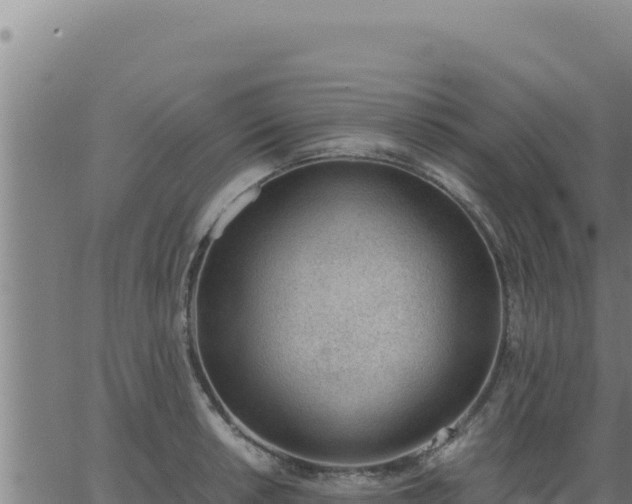 X0000062871042200601201749