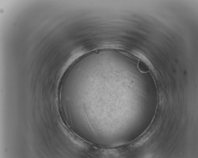 X0000062871043200601201749