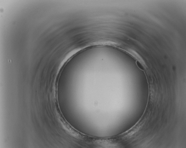 X0000062871044200601201749