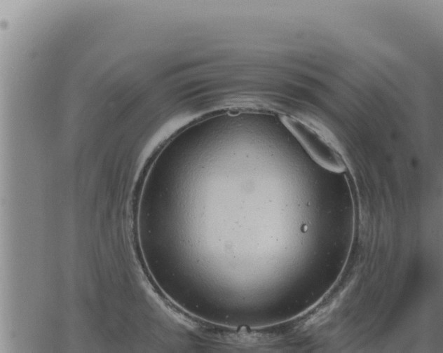 X0000062871045200601201749