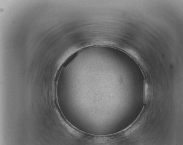 X0000062871046200601201749