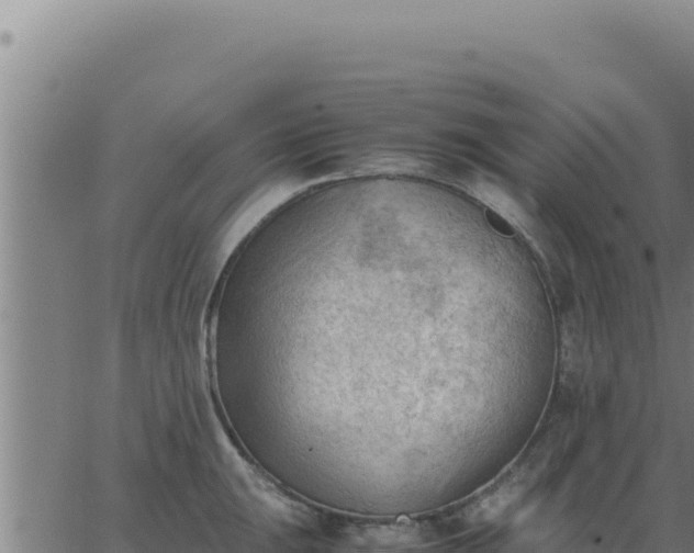 X0000062871047200601201749