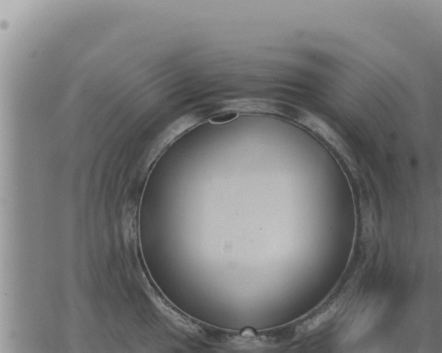 X0000062871049200601201749