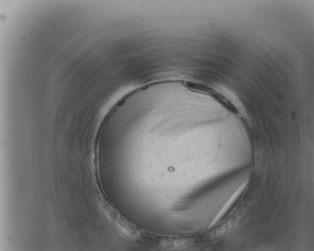 X0000062871051200601201749