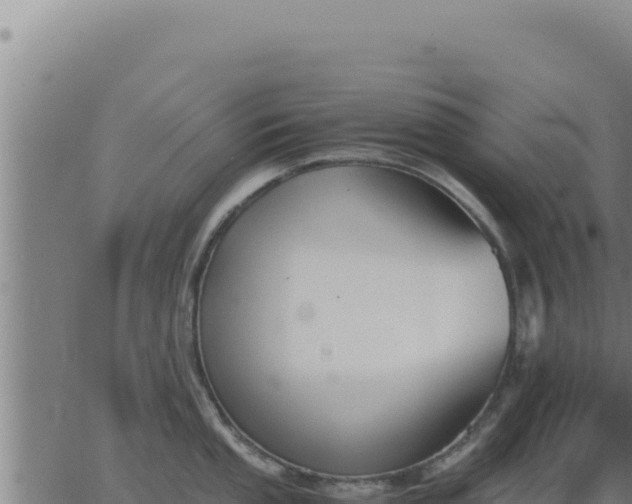 X0000062871053200601201749