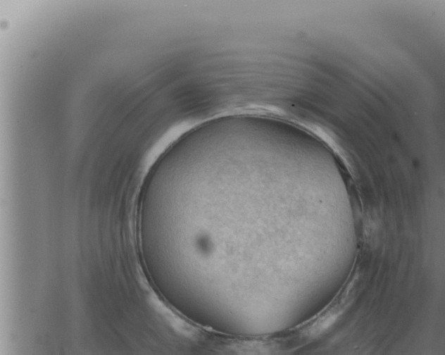 X0000062871054200601201749