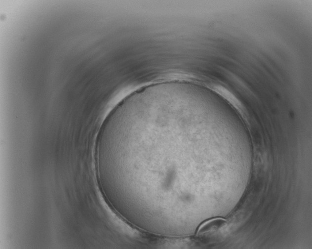 X0000062871055200601201749