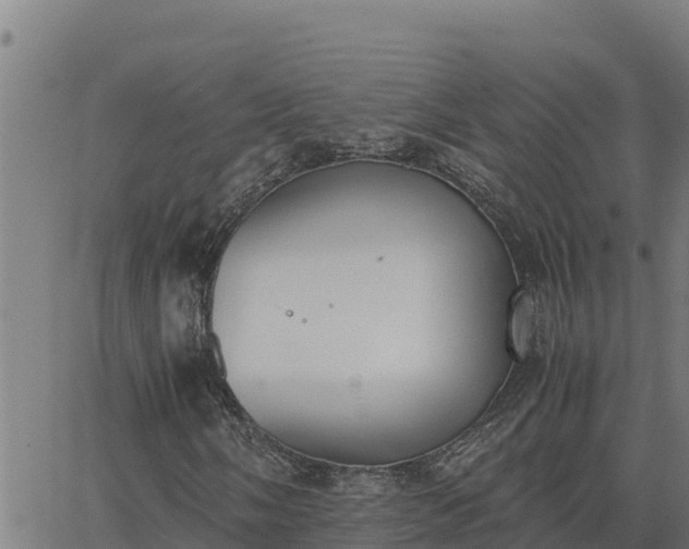 X0000062871058200601201748