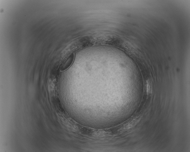 X0000062871059200601201748