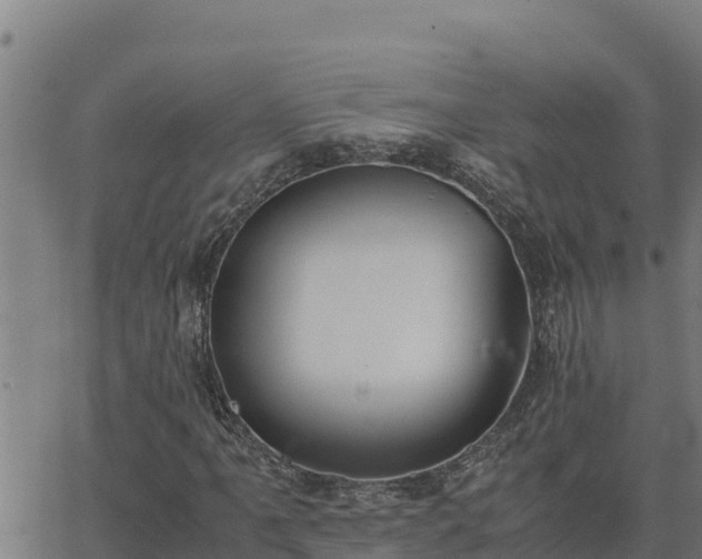 X0000062871061200601201748