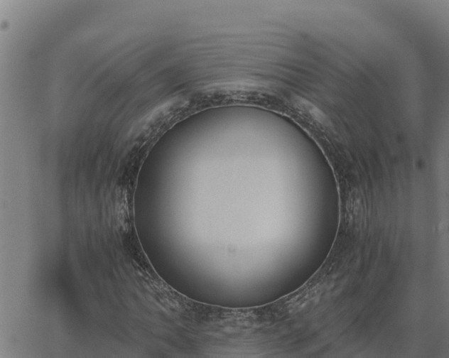 X0000062871062200601201748