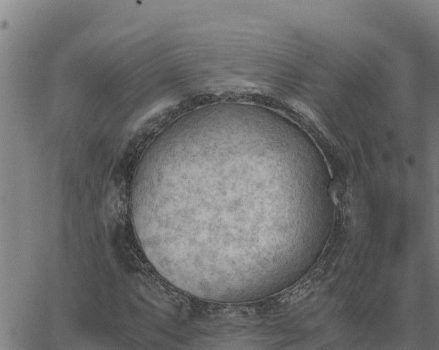 X0000062871063200601201748