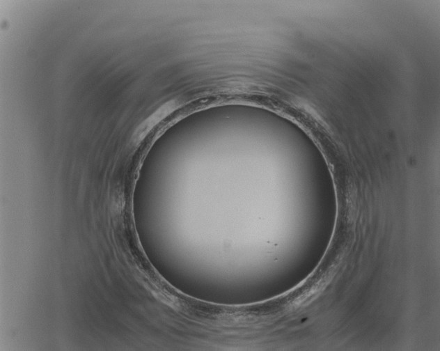 X0000062871065200601201748