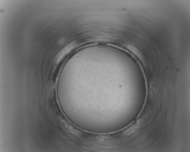 X0000062871067200601201748