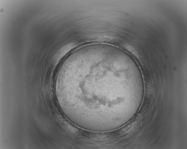 X0000062871071200601201748