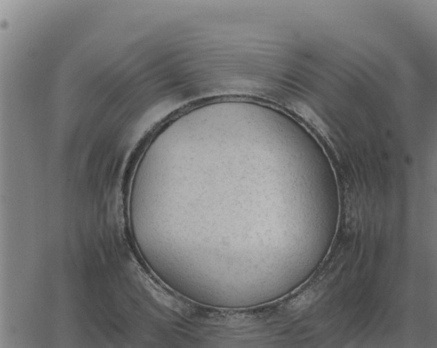 X0000062871072200601201748