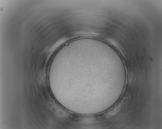 X0000062871074200601201748