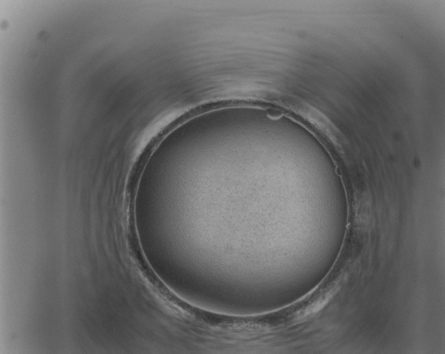 X0000062871077200601201748