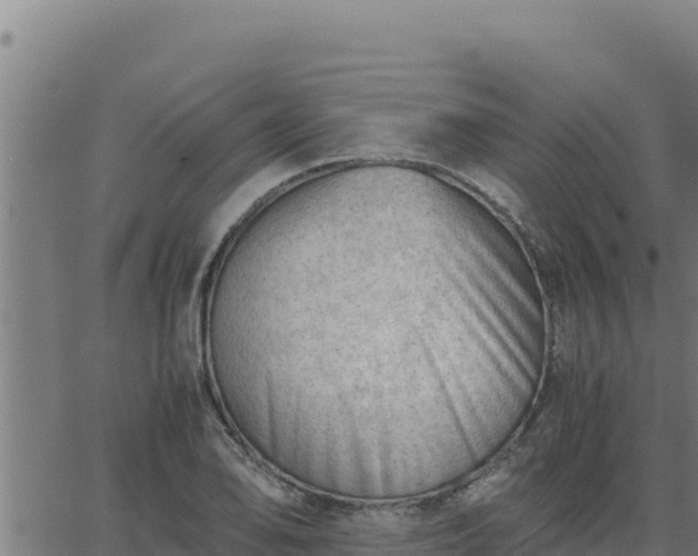 X0000062871078200601201748