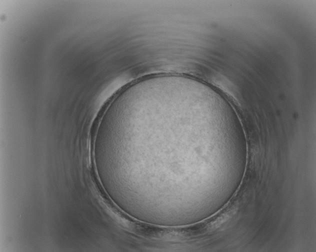 X0000062871079200601201748