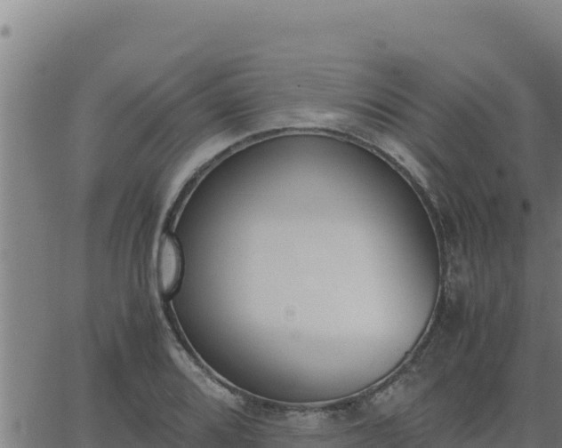 X0000062871080200601201748