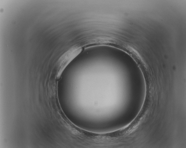 X0000062871081200601201748