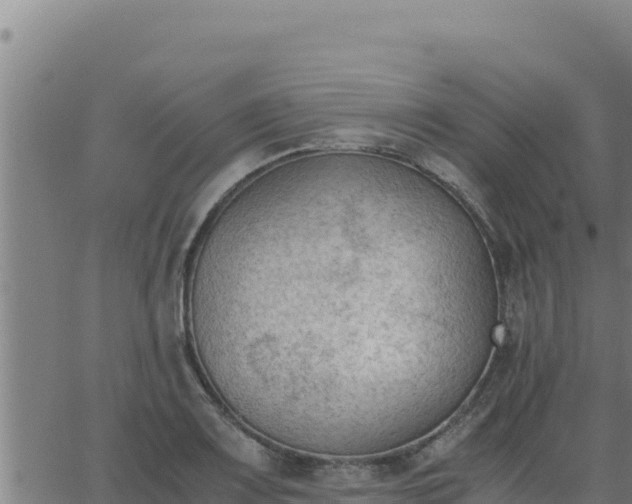 X0000062871083200601201748