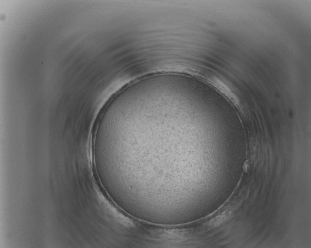 X0000062871084200601201748