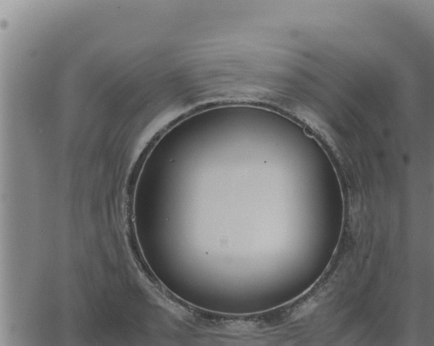 X0000062871085200601201748