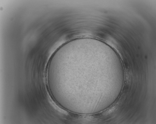 X0000062871090200601201748